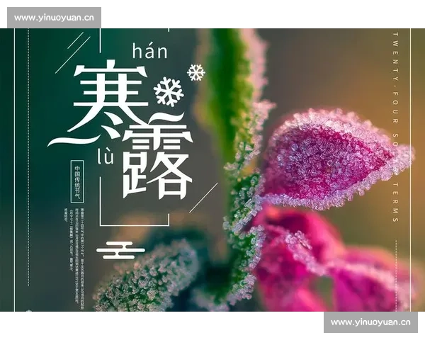 寒露时节：探秘秋季节气的气候变化与农事安排
